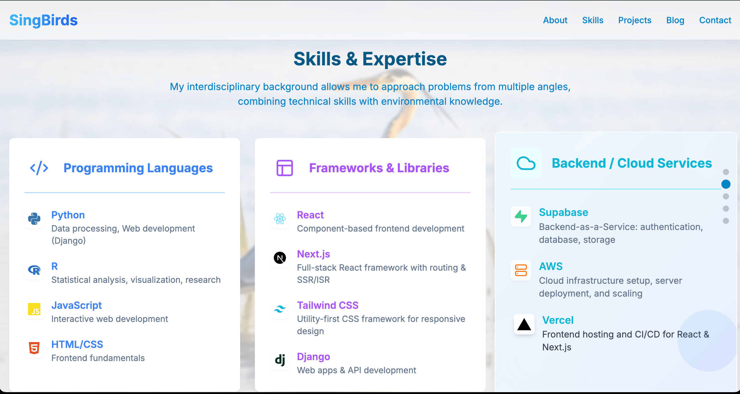 Building My Portfolio in Two Days screenshot 2