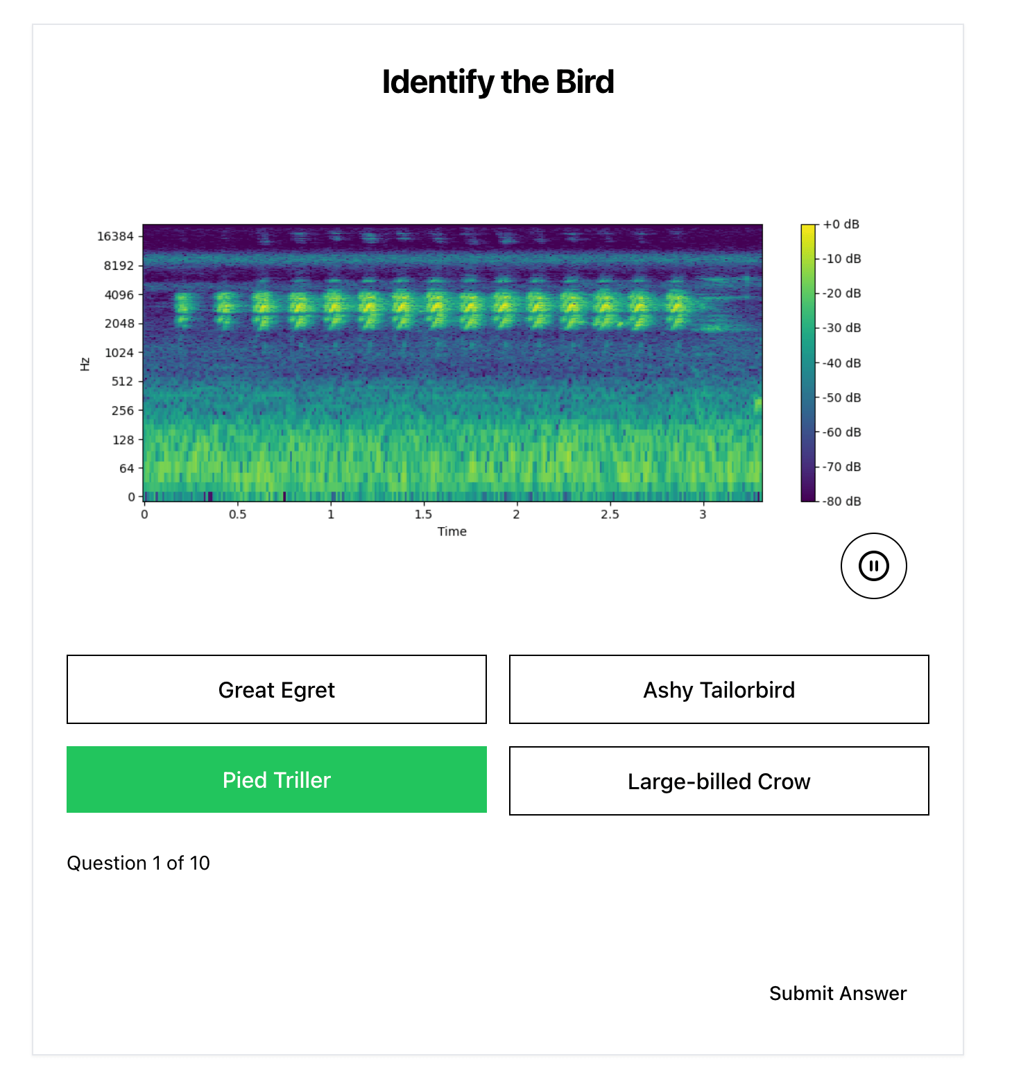 Learning Singapore’s Birds by Ear: A Look at the SingBirds Call Quiz screenshot 4